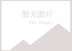 珠山区敷衍化学有限公司